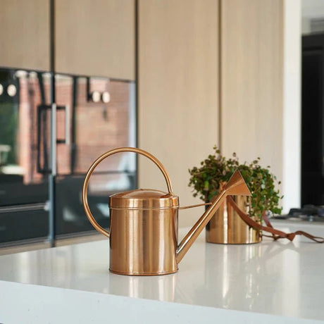 Indoor Plant Accessories - Decor Sanctuary UK