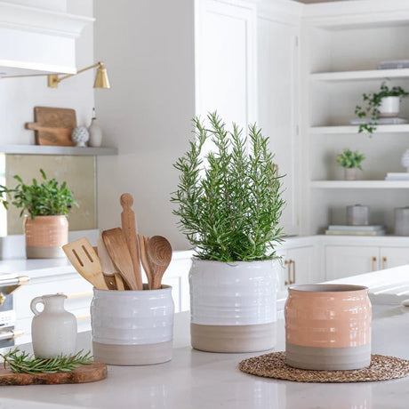 2 Tone Indoor Lipped & Ripple Planter - White Gloss Glaze and Earth Brown Base Luxury Home Decor Garden & Outdoor And Gifts