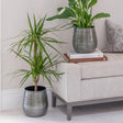 Antique Pewter Finish Indoor Planter - Bell Bottomed Shape Luxury Home Decor Garden & Outdoor And Gifts