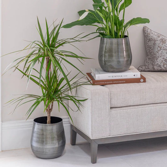 Antique Pewter Finish Indoor Planter - Bell Bottomed Shape Luxury Home Decor Garden & Outdoor And Gifts