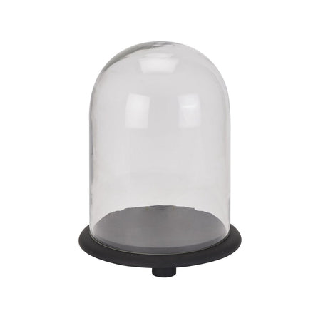 Black Wooden Base Dome Glass Cloche - Decorative Ornaments UK Luxury Home Decor Garden & Outdoor And Gifts