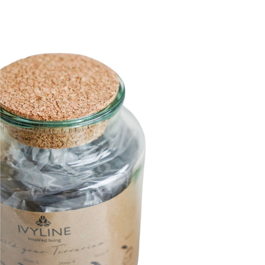 Bottle Shape Medium Terrarium DIY Kit H22.5cm W14cm Luxury Home Decor Garden & Outdoor And Gifts