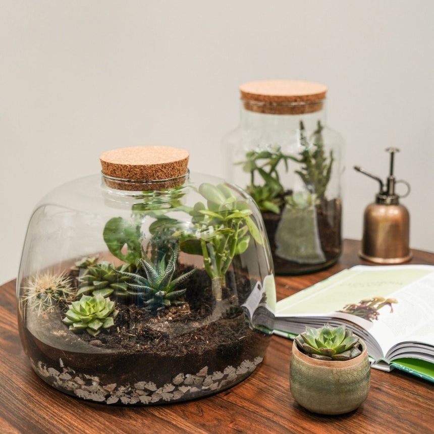 Bottle Shape Medium Terrarium DIY Kit H22.5cm W14cm Luxury Home Decor Garden & Outdoor And Gifts