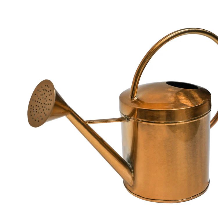 Classic Copper Finish Indoor Watering Can Luxury Home Decor Garden & Outdoor And Gifts