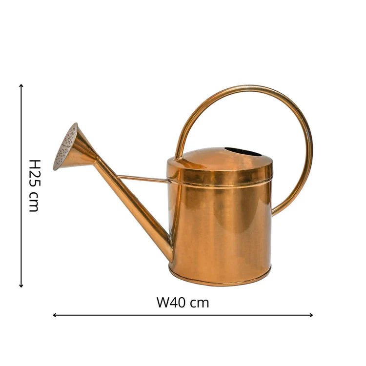 Classic Copper Finish Indoor Watering Can Luxury Home Decor Garden & Outdoor And Gifts