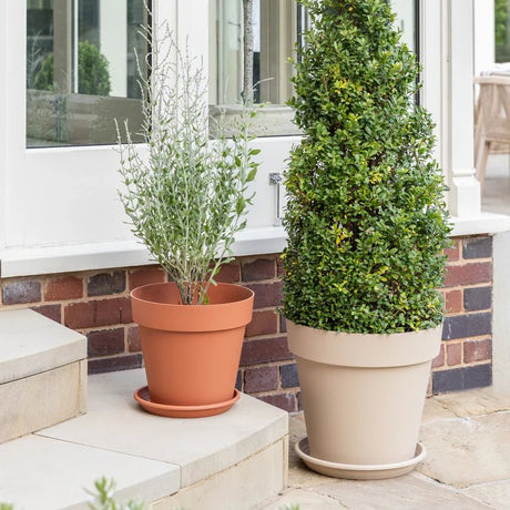 Cleo Outdoor Planter Oat w/Wheels - Frost Resistant, Built - in Drainage, 100% Recyclable Quality Home Decor Garden & Outdoor Living and Gifts