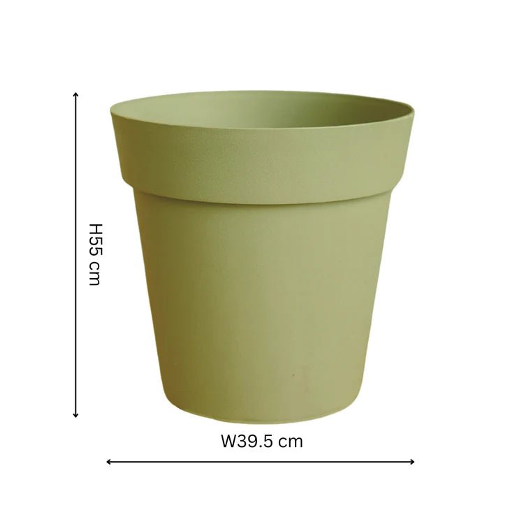 Cleo Outdoor Planter Olive w/Wheels - Frost Resistant Built - in Drainage 100% Recyclable Quality Home Decor Garden & Outdoor Living and Gifts