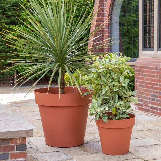 Cleo Outdoor Planter Terracotta w/Wheels - Frost Resistant Built - in Drainage 100% Recyclable Quality Home Decor Garden & Outdoor Living and Gifts