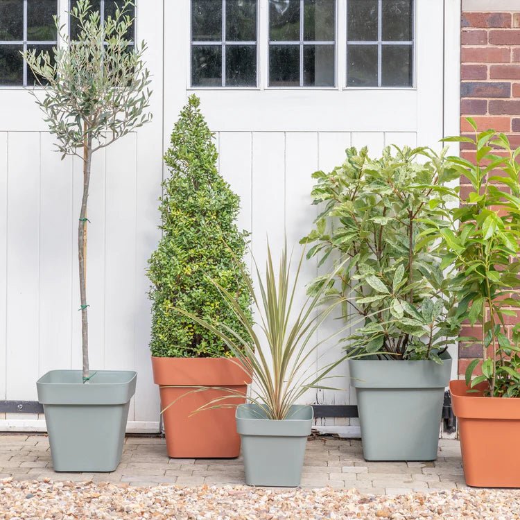 Cleo Outdoor Square Planter Terracotta w/Wheels - Frost Resistant Built - in Drainage Quality Home Decor Garden & Outdoor Living and Gifts