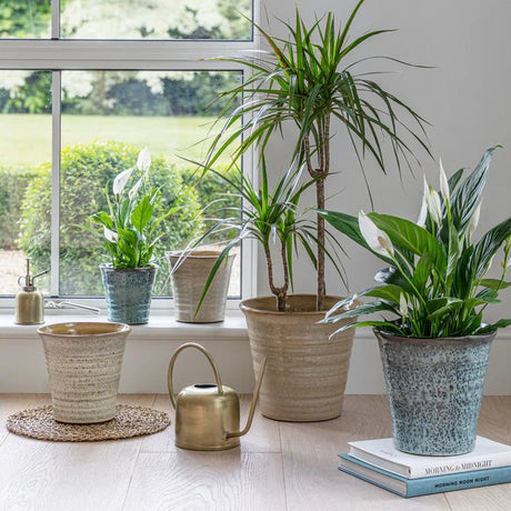 Cream Terracotta Indoor Planter - Tapered & Ribbed Design Luxury Home Decor Garden & Outdoor And Gifts