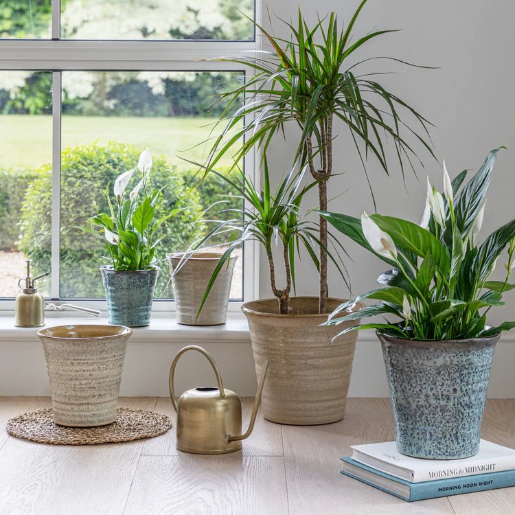 Cream Terracotta Indoor Planter - Tapered & Ribbed Design Luxury Home Decor Garden & Outdoor And Gifts