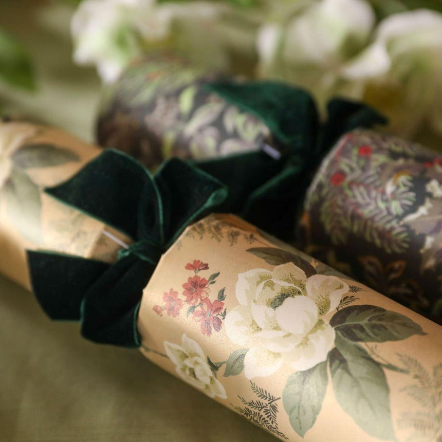 Dusky Hellebore Eco Christmas Crackers – FSC Mix 13in Set of 6 | Decor Sanctuary Quality Home Decor Garden & Outdoor Living and Gifts