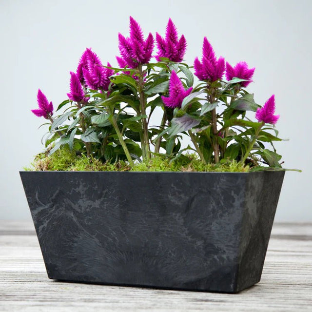Ella Outdoor Balcony Trough Planter Black Stone Finish - Frost Resistant, Lightweight Quality Home Decor Garden & Outdoor Living and Gifts