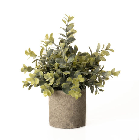 Eucalyptus Plant In Stone Effect Pot - Artificial Potted Plants Luxury Home Decor Garden & Outdoor And Gifts
