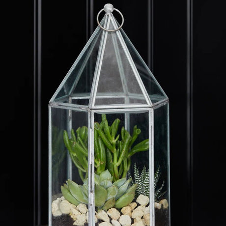 Galvanised Metal Glass House Terrarium Luxury Home Decor Garden & Outdoor And Gifts