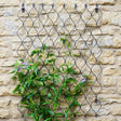 Garden Trellis Small Honeycomb Design Zinc Finish - Frost Resistant, Ideal For Climbing Plants Quality Home Decor Garden & Outdoor Living and Gifts