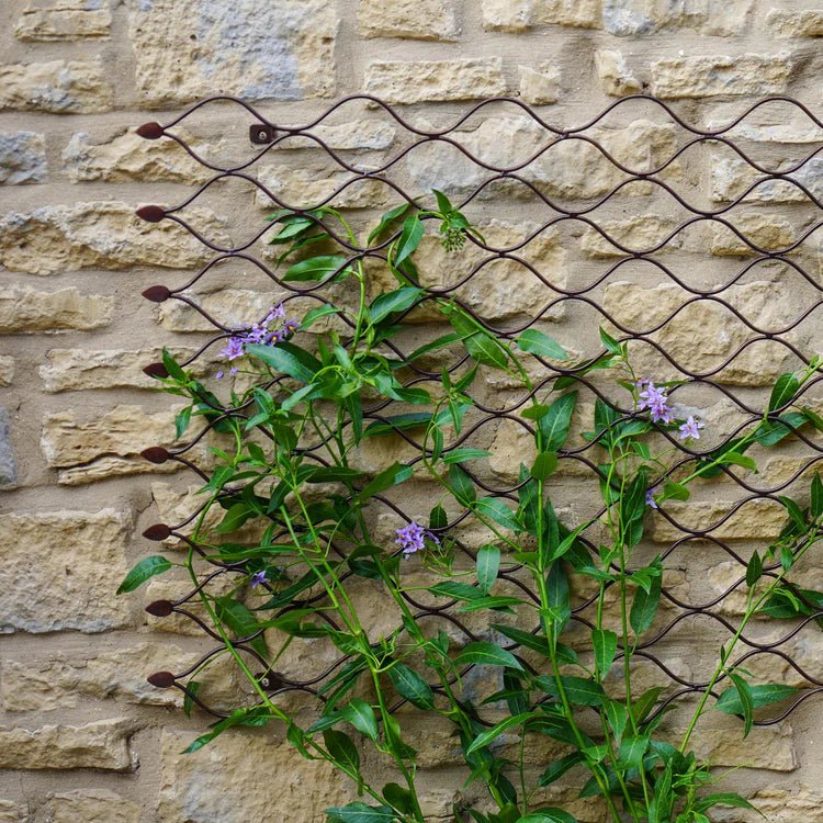Garden Wall Plant Trellis Small Honeycomb Style - Easily Build Your Custom Design Layout Quality Home Decor Garden & Outdoor Living and Gifts