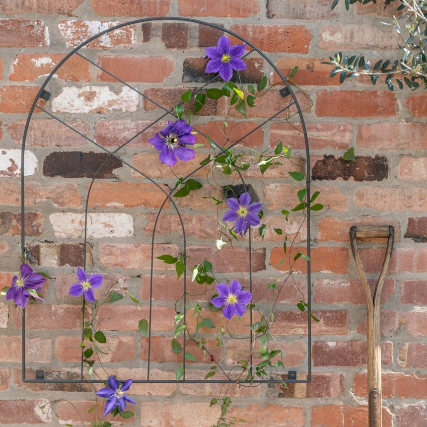 Garden Wall Trellis Arch Design Metal w/Zinc Finish - Easily Fixes To Brick, Fence & Panelling Quality Home Decor Garden & Outdoor Living and Gifts