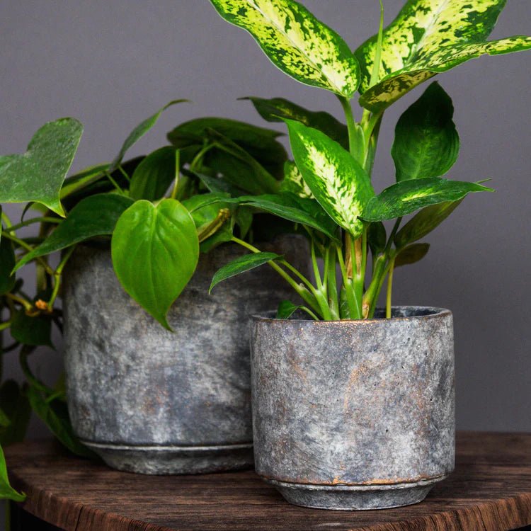 Grey Earth Indoor Plant Pot Luxury Home Decor Garden & Outdoor And Gifts
