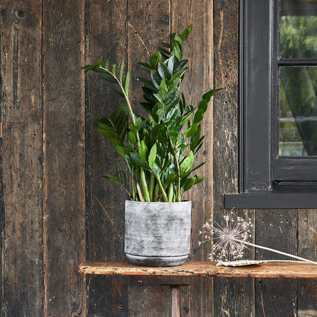 Grey Earth Indoor Plant Pot Luxury Home Decor Garden & Outdoor And Gifts