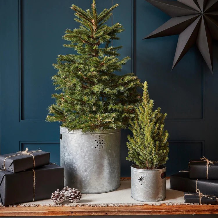 Indoor Christmas Tree Bucket with Star in Galvanised Steel - Large Quality Home Decor Garden & Outdoor Living and Gifts