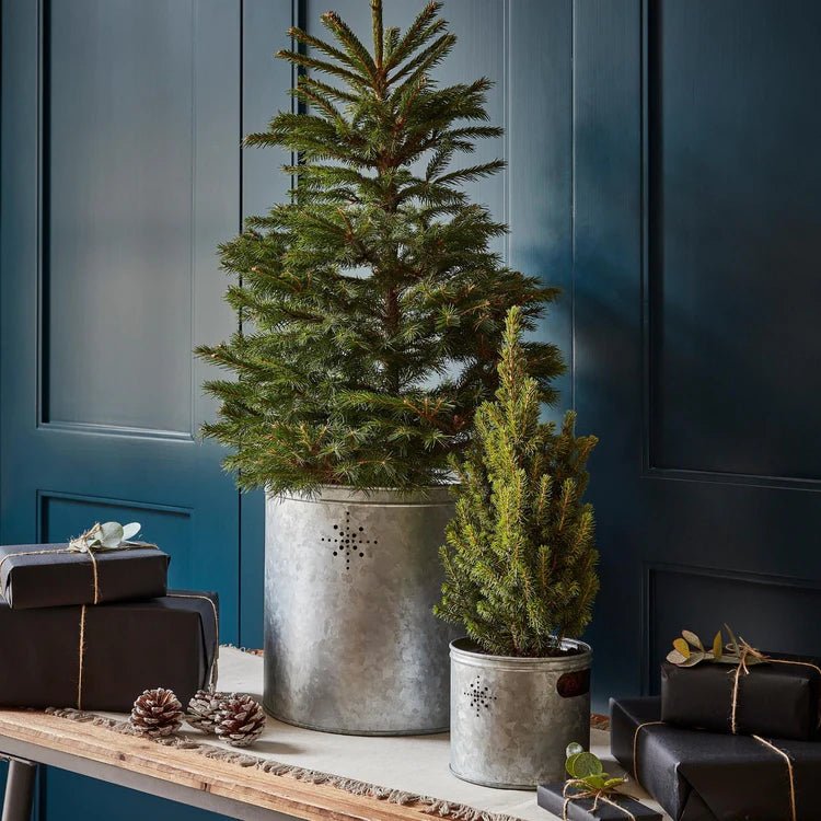 Indoor Christmas Tree Bucket with Star in Galvanised Steel - Small Quality Home Decor Garden & Outdoor Living and Gifts