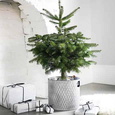 Indoor Christmas Tree Bucket Zinc - Large Quality Home Decor Garden & Outdoor Living and Gifts