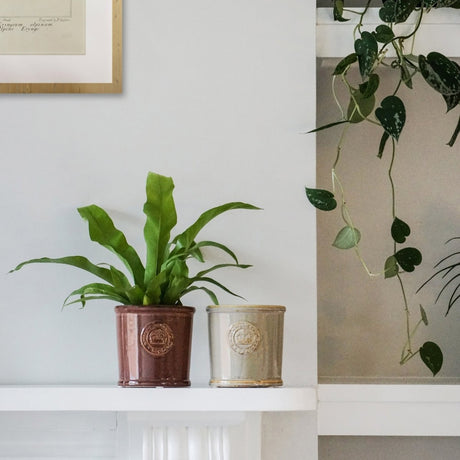 Kew Gardens Ceramic Indoor Planter - Glazed & Embossed Classic Ivory Luxury Home Decor Garden & Outdoor And Gifts