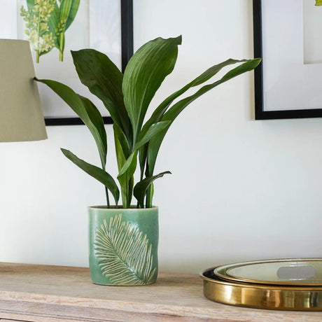 Kew Gardens Stoneware Palm Leaves Indoor Planter - Olive Green & Handmade Luxury Home Decor Garden & Outdoor And Gifts
