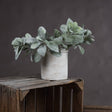 Lambs Ear Spray - Best Artificial Flower Single Stem Luxury Home Decor Garden & Outdoor And Gifts
