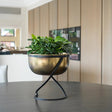 Large Brass Finish Indoor Planter - Black Frame Stand Luxury Home Decor Garden & Outdoor And Gifts