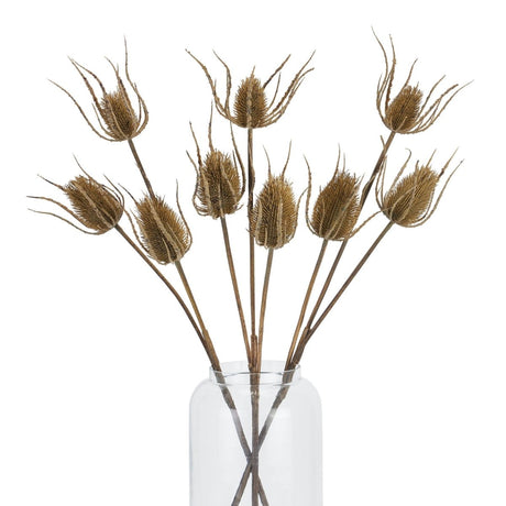 Large Brown Triple Teasel - Best Artificial Flower Single Stem Luxury Home Decor Garden & Outdoor And Gifts