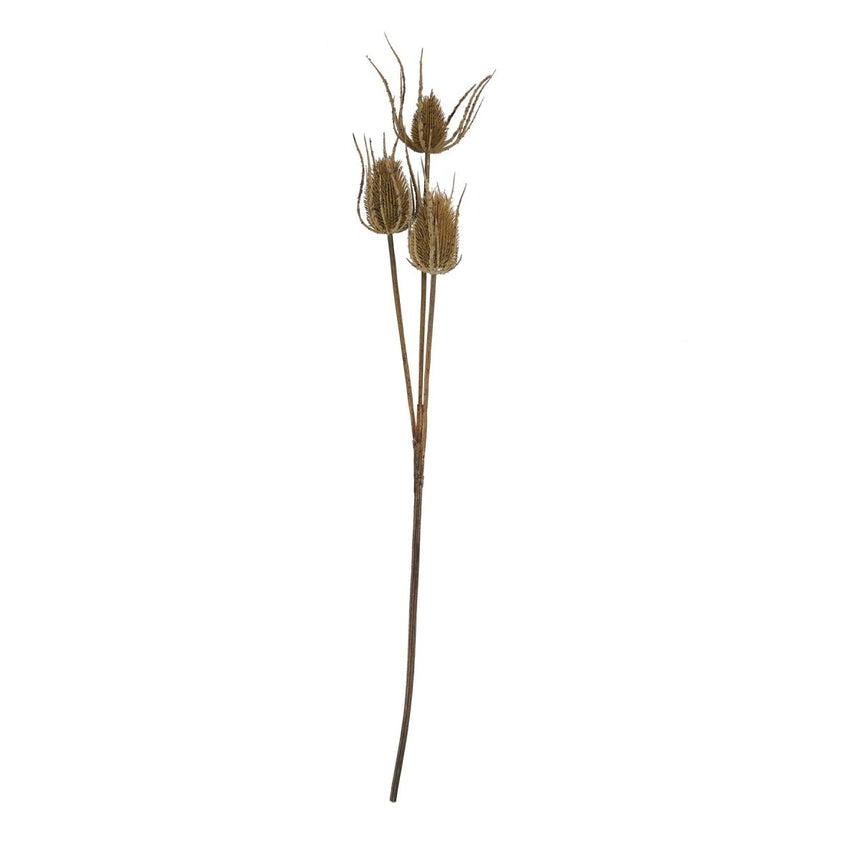 Large Brown Triple Teasel - Best Artificial Flower Single Stem Luxury Home Decor Garden & Outdoor And Gifts