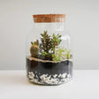 Large DIY 100% Recycled Glass Bowl Terrarium Kit Luxury Home Decor Garden & Outdoor And Gifts