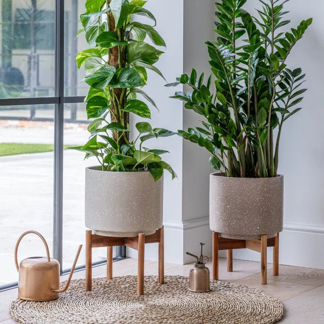 Large Ivory White Indoor Pot Plant Stand - Terrazzo Speckled Effect Luxury Home Decor Garden & Outdoor And Gifts