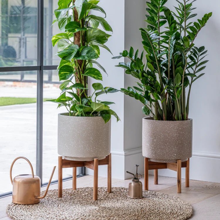 Large Ivory White Indoor Pot Plant Stand - Terrazzo Speckled Effect Luxury Home Decor Garden & Outdoor And Gifts