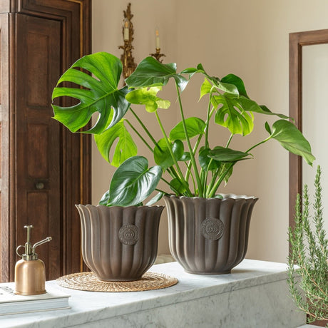 Large Kew Gardens Ceramic Indoor Planter - Mocha Brown Fluted Tulip Design Luxury Home Decor Garden & Outdoor And Gifts