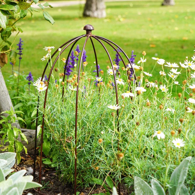 Large Outdoor Garden Metal Plant Support Bronze Finish - Frost Resistant, Protective Coating Quality Home Decor Garden & Outdoor Living and Gifts