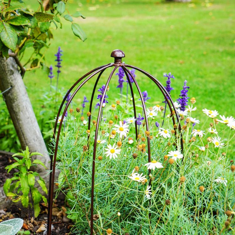 Large Outdoor Garden Metal Plant Support Bronze Finish - Frost Resistant, Protective Coating Quality Home Decor Garden & Outdoor Living and Gifts