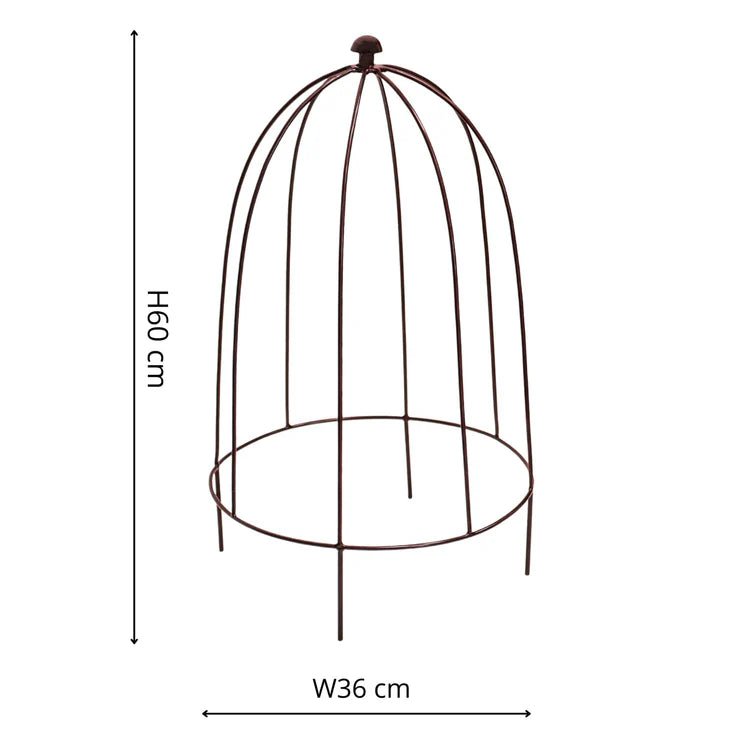 Large Outdoor Garden Metal Plant Support Bronze Finish - Frost Resistant, Protective Coating Quality Home Decor Garden & Outdoor Living and Gifts