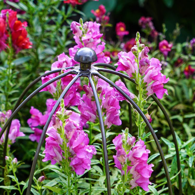 Large Outdoor Garden Metal Plant Support Zinc Finish - Frost Resistant, Outdoor Coating Quality Home Decor Garden & Outdoor Living and Gifts