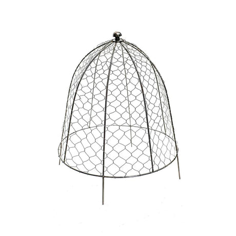 Large Outdoor Garden Wire Netted Plant Protector Cage/Cover Zinc Finish - Frost Resistant Quality Home Decor Garden & Outdoor Living and Gifts