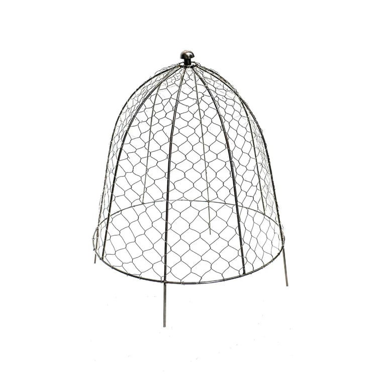 Large Outdoor Garden Wire Netted Plant Protector Cage/Cover Zinc Finish - Frost Resistant Quality Home Decor Garden & Outdoor Living and Gifts