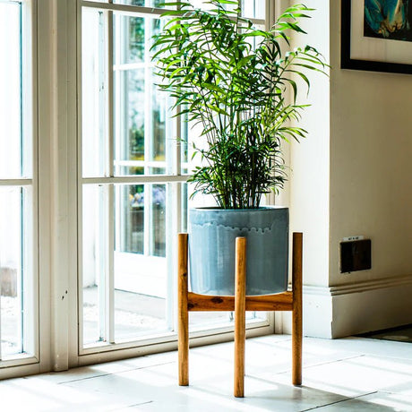 Large Silver Grey Ceramic Indoor Planter Stand - With Tall Wooden Legs Luxury Home Decor Garden & Outdoor And Gifts