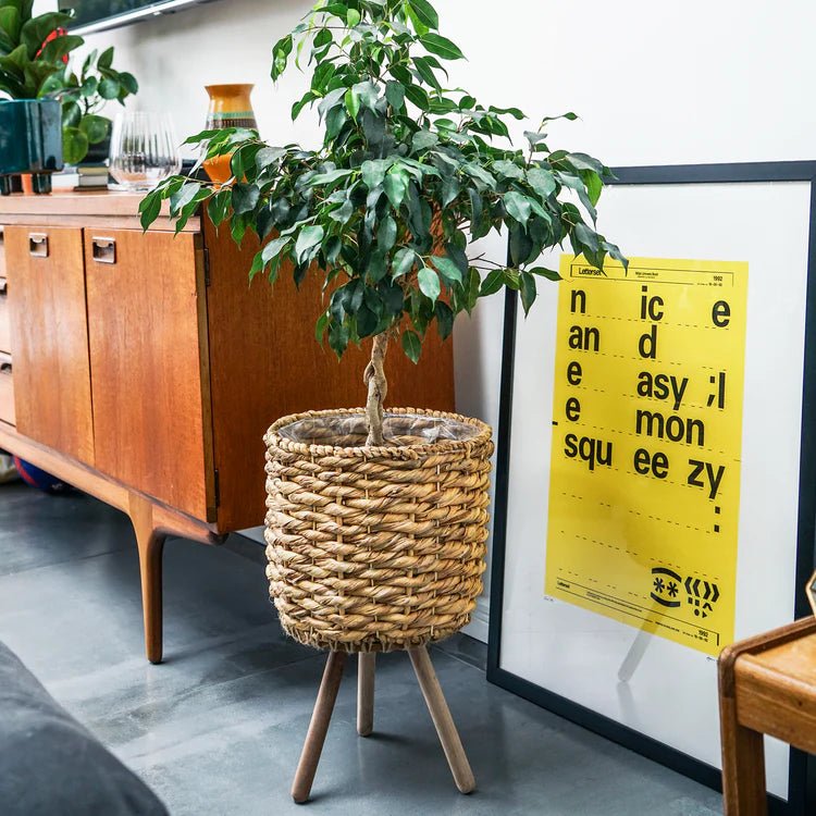 Large Water Hyacinth Basket Indoor Pot Planter Luxury Home Decor Garden & Outdoor And Gifts