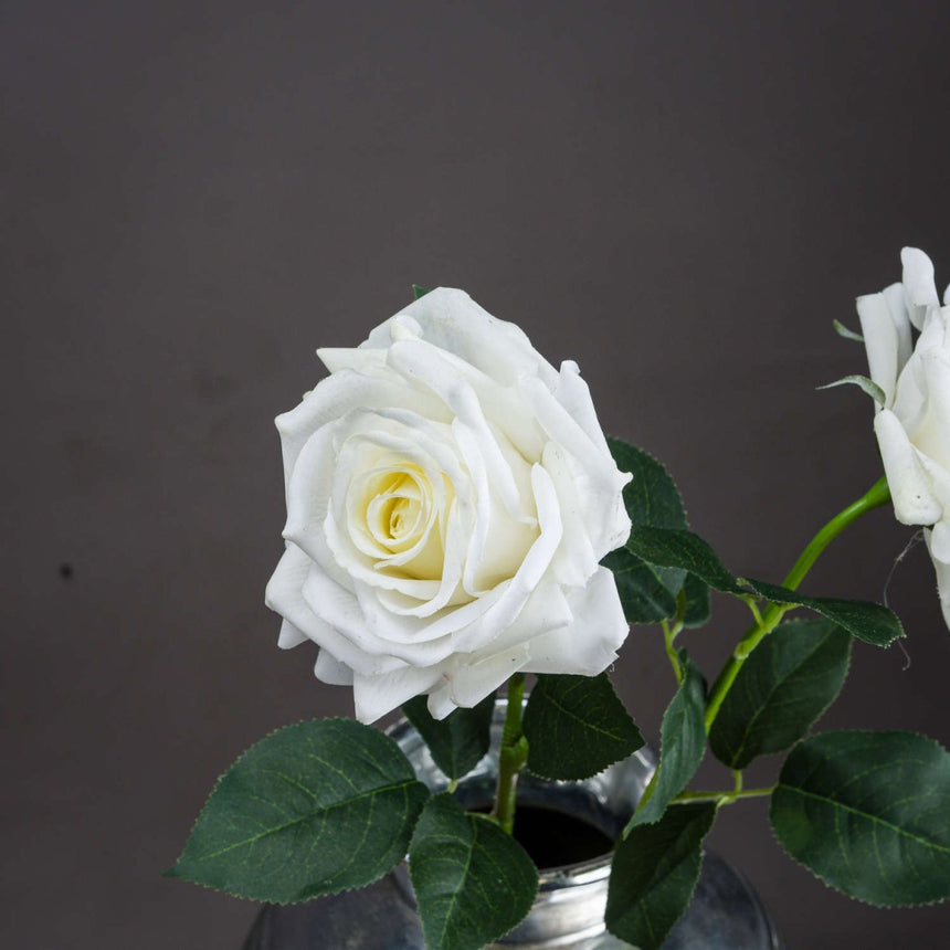 Large White Garden Rose Luxury Home Decor Garden & Outdoor And Gifts