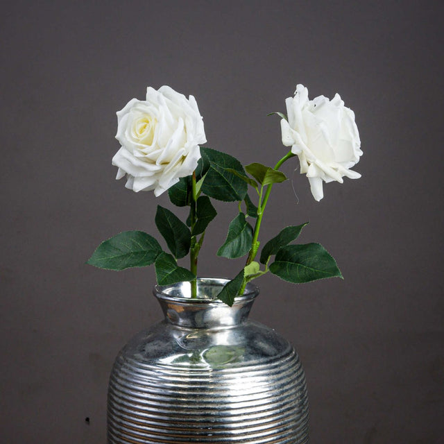 Large White Garden Rose Luxury Home Decor Garden & Outdoor And Gifts