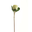 Large White Protea - Best Artificial Flower Single Stem Luxury Home Decor Garden & Outdoor And Gifts