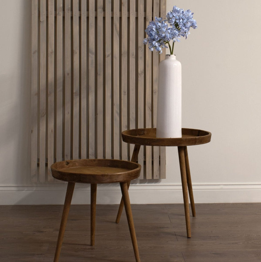 Light Blue Large Headed Agapanthus Luxury Home Decor Garden & Outdoor And Gifts