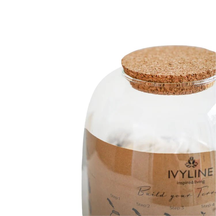 Medium DIY 100% Recyled Glass Bowl Terrarium Kit With Lid Luxury Home Decor Garden & Outdoor And Gifts